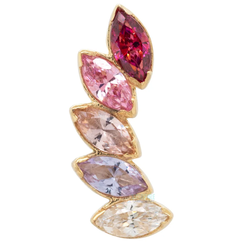 2026_05_05_2462434