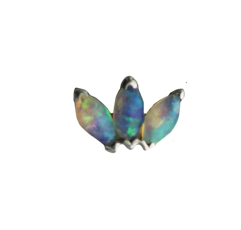 identitybodypiercing202605031447482163998